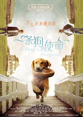 久色在线三级三级三级免费看