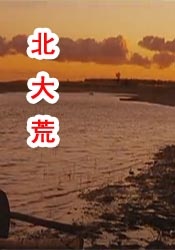 国产精品美乳在线观看